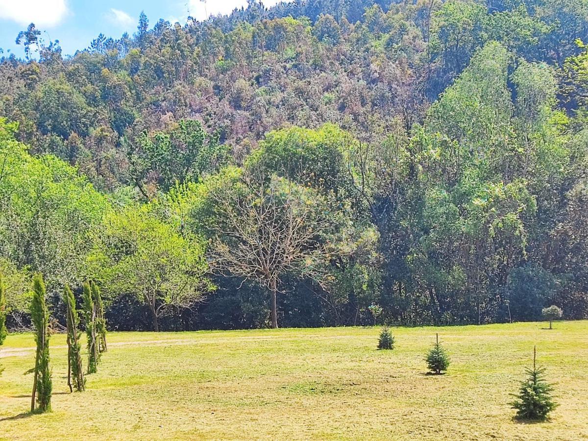 Casa Marina, En Plena Naturaleza Y Vistas Al Campo Villa Понтеведра Екстериор снимка