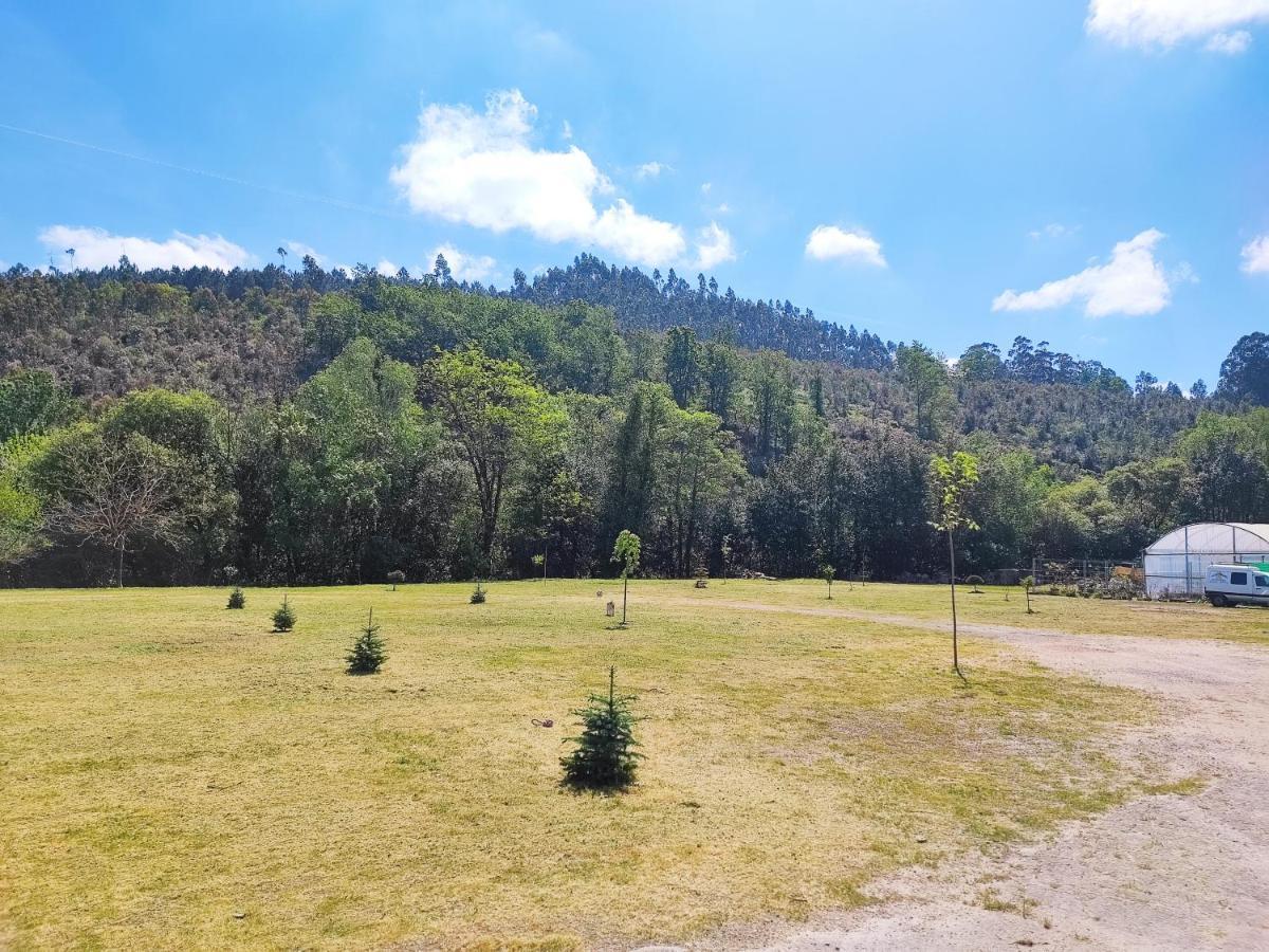 Casa Marina, En Plena Naturaleza Y Vistas Al Campo Villa Понтеведра Екстериор снимка